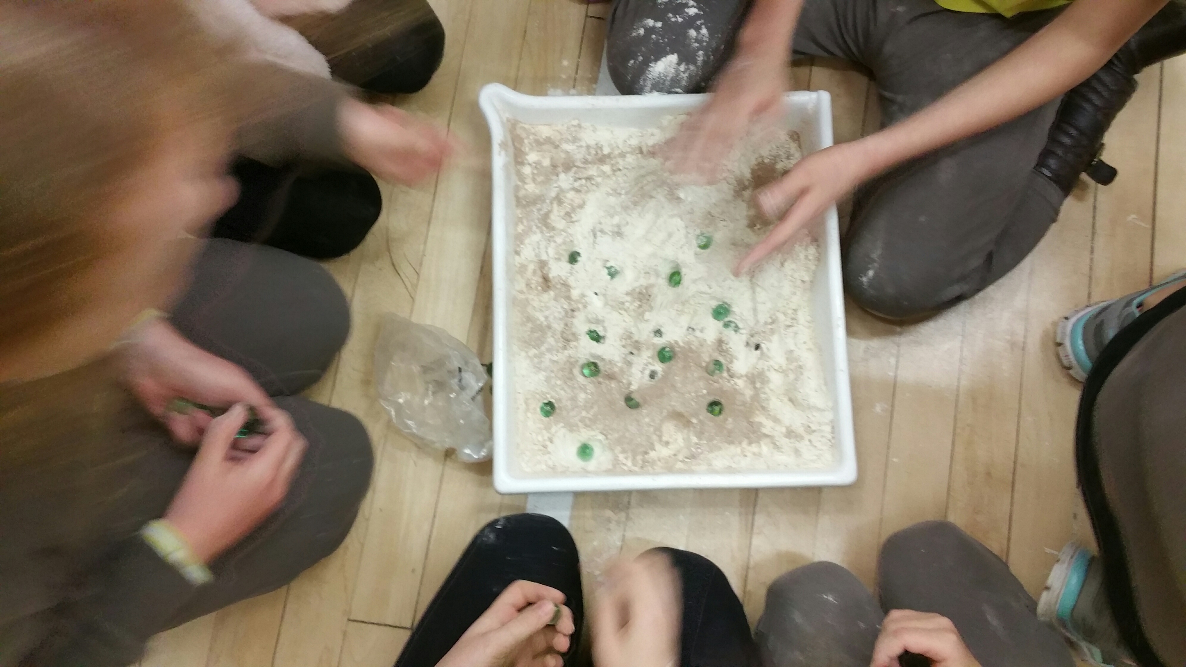 20171114_184554_resized