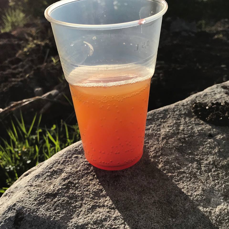 35847082_1707279929327782_3426448625834655744_n