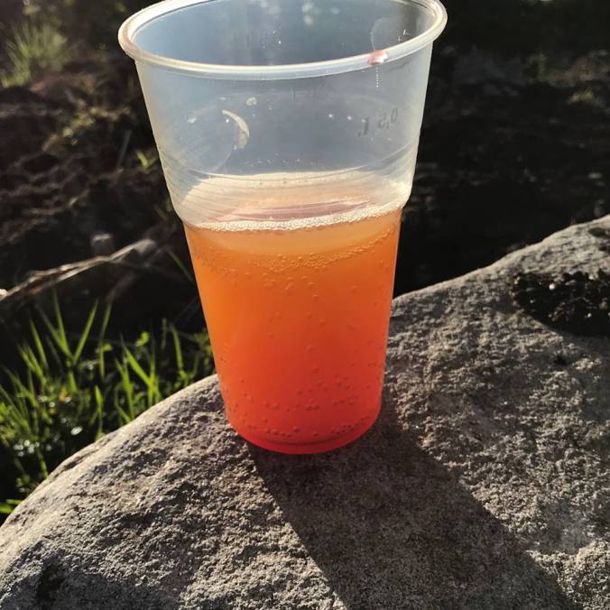 35847082_1707279929327782_3426448625834655744_n