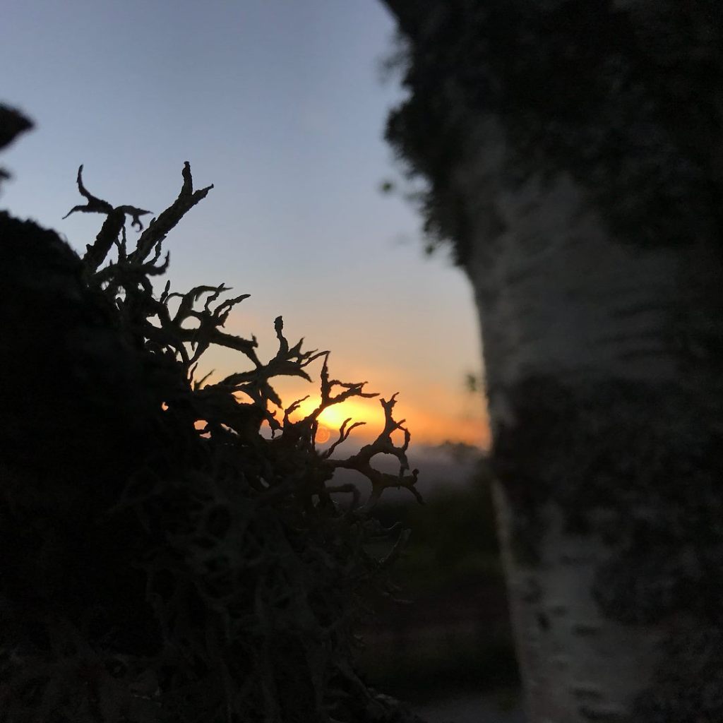 36088300_1707272335995208_925022512587210752_o