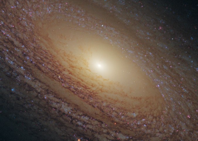 Spiral-Galaxy-NGC-2841
