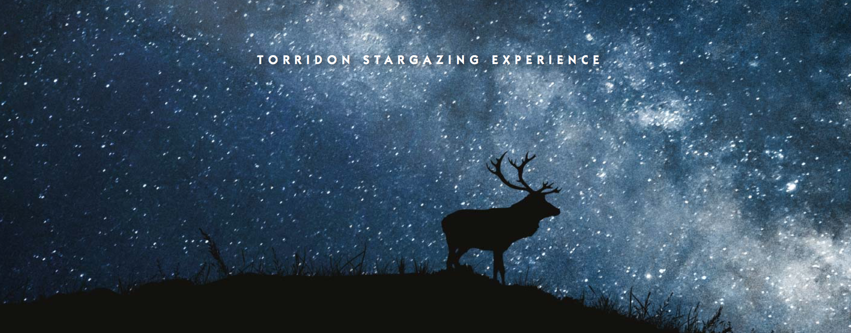 Screen Shot 2018-12-16 at 13.02.29