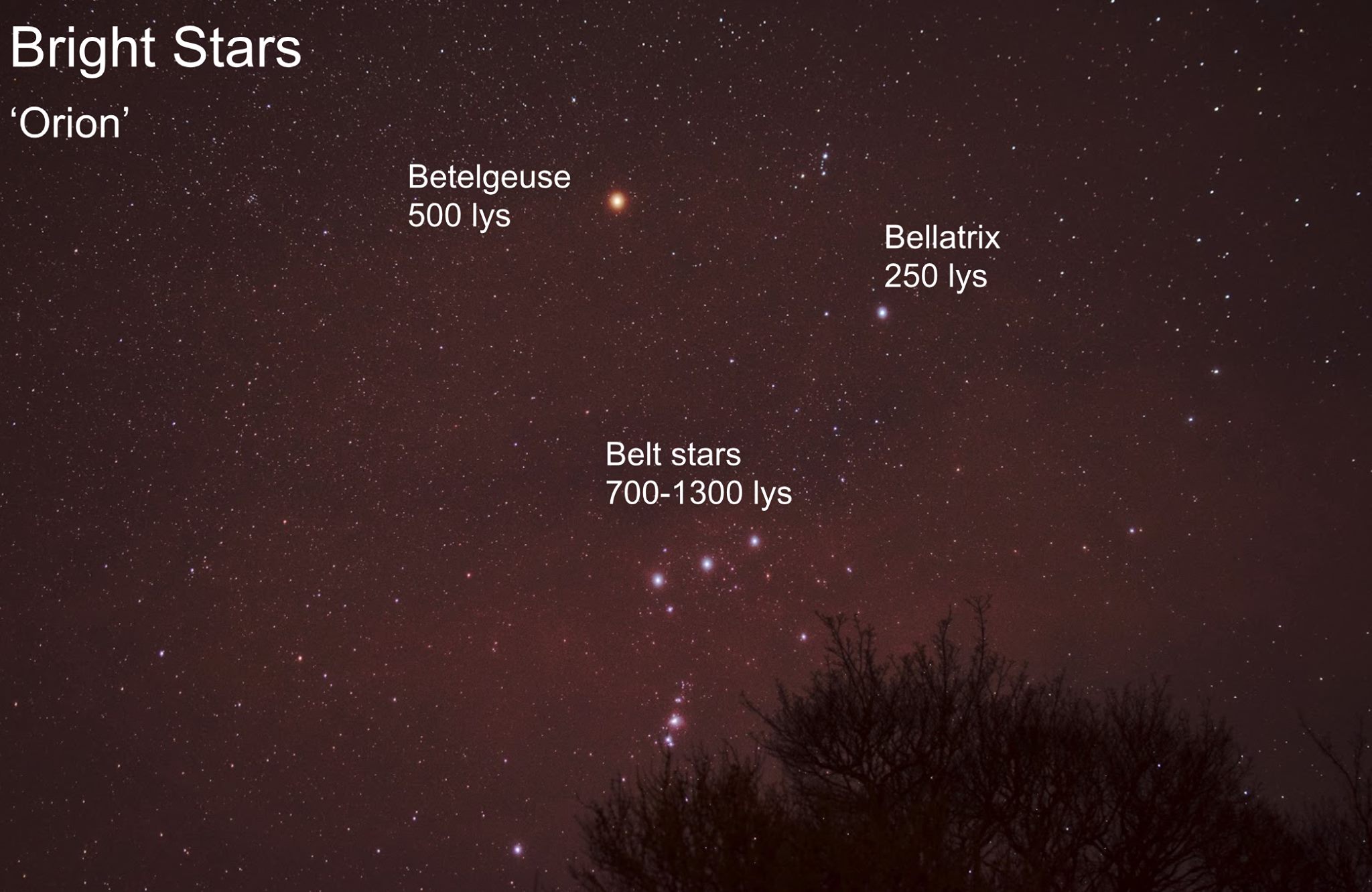 55713652_2276943135875959_380502345437413376_o