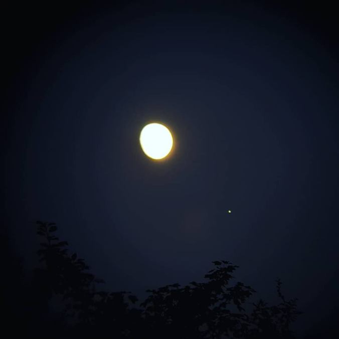 66357097_2348932338677038_1638252942198833152_n