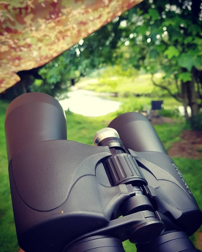 66425052_2349563911947214_3159317830575325184_n