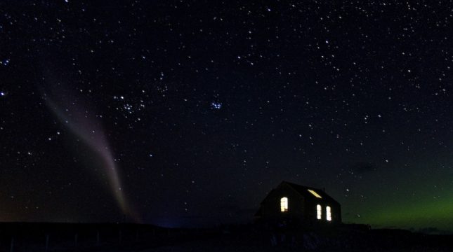 Whos-Steve-by-Casey-McIntyre-645x360